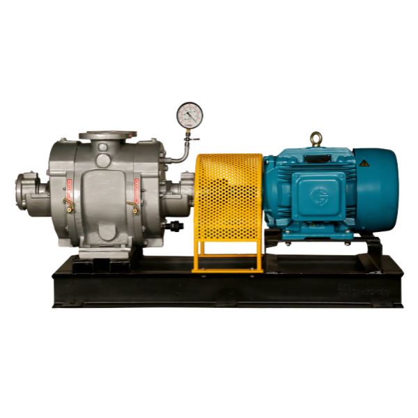 Liquid ring vacuum pump