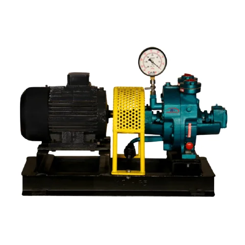 5 hp Water ring vacuum pump